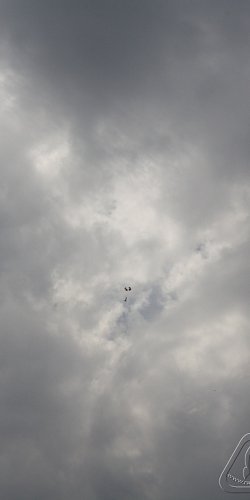 2012 Suche Mirek Topinka